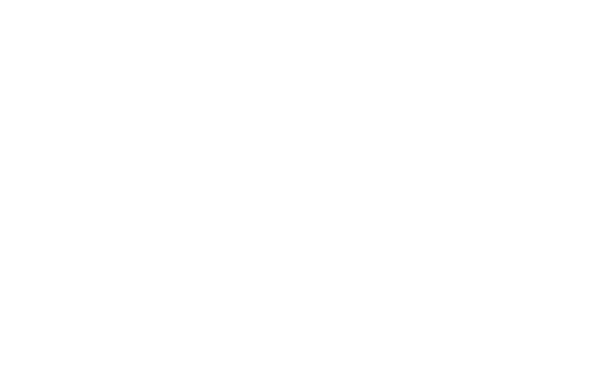 porcinnova